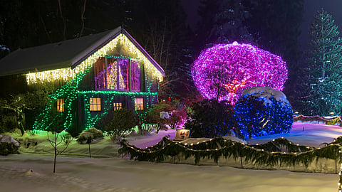 An image of cozy house with vibrant green and yellow Christmas lights and trees near house.