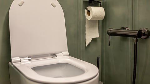 An image of clean bathroom with a white toilet seat, green walls, wall-mounted toilet paper holder.