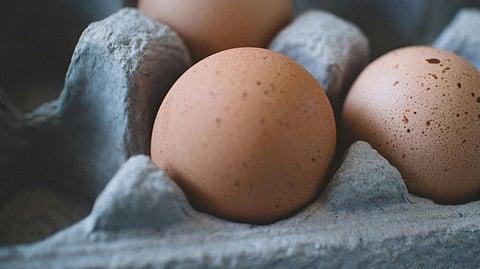 Image of brown eggs in an egg tray.