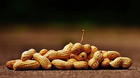 Image of a pile of peanuts one over the other in front of a blurry background.