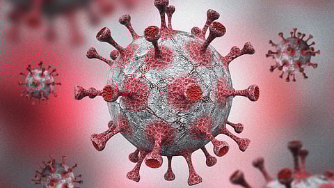 An image of 3D illustration of a coronavirus on a red background.