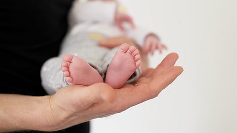 Feet of a newborn in close-up in the hands of an adult. 