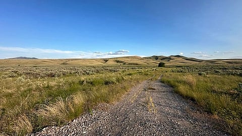An image of dirt road stretches through a wide grassy plain under a clear blue sky.
