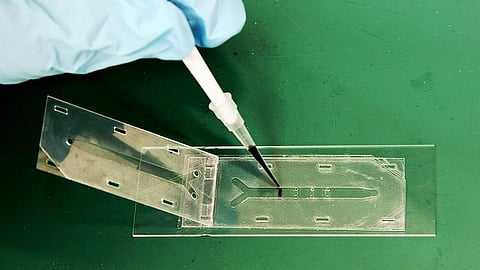 Image showing a gloved hand using a pipette to apply liquid onto a clear microfluidic device, suggesting a scientific experiment.
