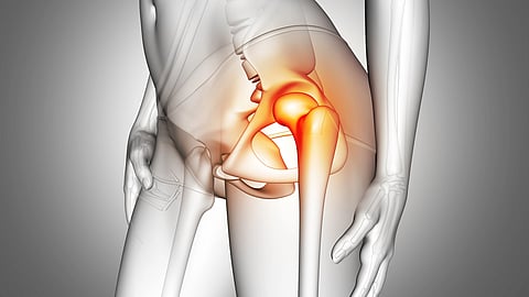 An image of semi-transparent human figure highlights the hip joint area.
