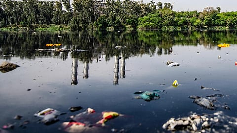 An image of a water body with contaminated water and garbage partilcles.