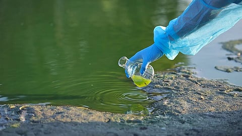 Personnel getting some water in a beaker from a lake.