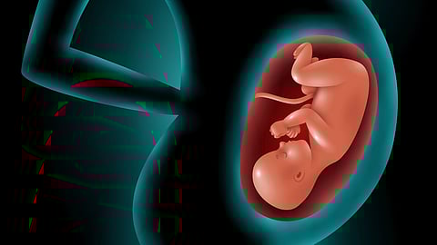 An image of silhouette of a pregnant woman with a glowing outline, a fetus inside the womb.