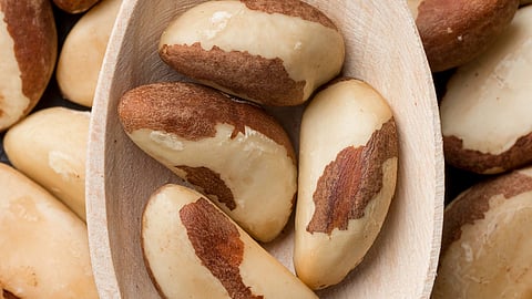 An image of wooden spoon filled with large, smooth Brazil nuts.