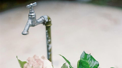 An image of a water tap.