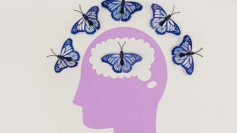 An image of a human head and butterflies surrounding it.