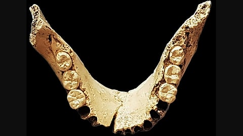 A human fossil discovered showing a fossil. 