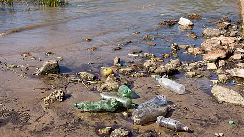 An image of shoreline littered with plastic bottles, debris, and rocks, highlighting pollution.
