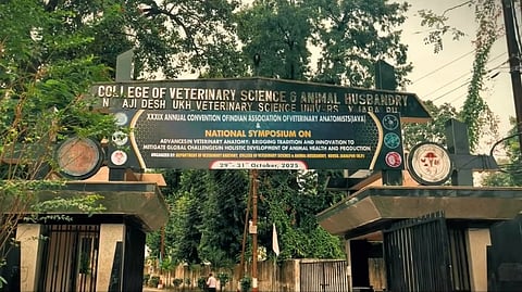Image of Nanaji Deshmukh Veterinary Science University in Jabalpur