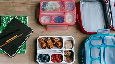 An open lunchbox with fried chicken, blueberries, raspberries, and snacks sits on a table next to notebooks, pencils, and empty containers. 