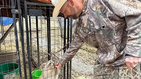 Man in a camo hoodie and cowboy hat feeds a capybara through a wire fence.