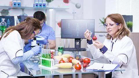 Three scientists in a lab study fruits and vegetables, including corn and strawberries.
