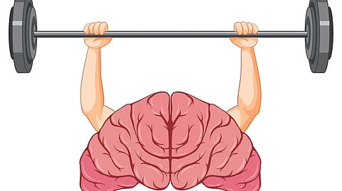 Cartoon of a human brain lifting a barbell with muscular arms.