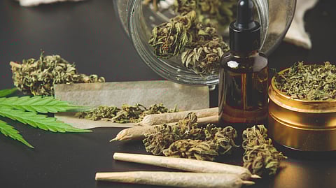 Cannabis buds and accessories displayed on a black surface.