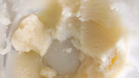 Close-up of white ghee in a container.