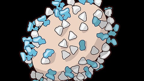 Illustration of a beige oval cell with blue and white triangular surfaces.