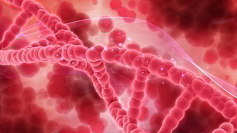 A close-up view of a red DNA double helix.