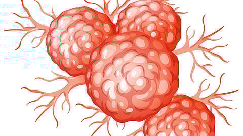 Illustration of a cluster of red, textured cells with branching extensions.