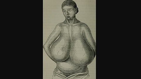 A pencil drawing of a woman with gigantic breasts. 