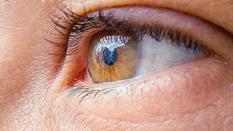 Close-up of an eye in brownish color.
