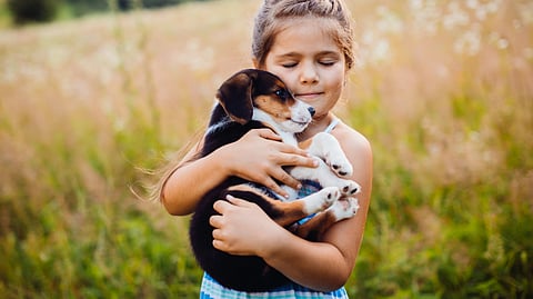 Little girl holds a puppy in her arms on a grassy field. 