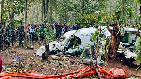 A plane crashed amidst the forest.