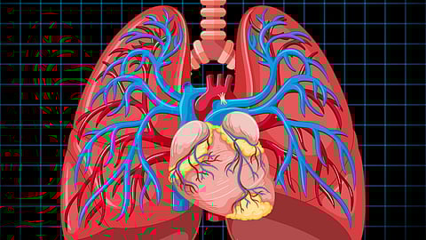 Illustration of human lungs and heart against a dark grid background. 