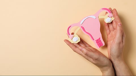hand holding uterus paper model.