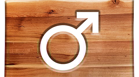 Wooden sign with the symbol of male.