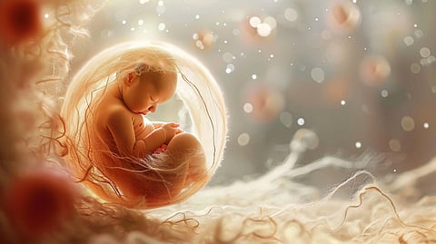 Human fetus in the prenatal development stage in the womb