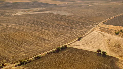 Aerial view of vast, sunlit farmland with dry, brown fields.