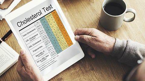 Blood cholesterol report test healthcare