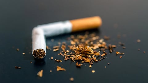 A cigarette stub on a black surface. 
