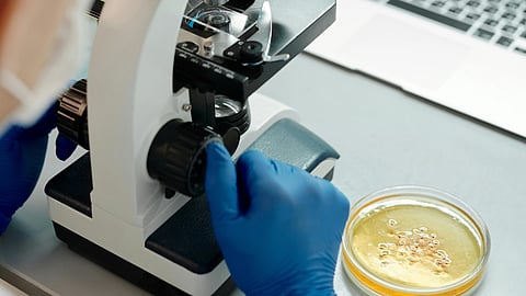 A scientist wearing blue gloves and a lab coat uses a microscope next to a petri dish.