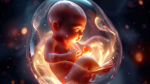 Human fetus in the prenatal development stage in the womb.