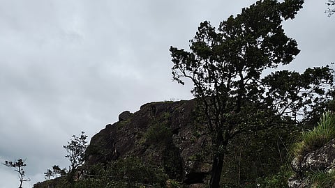 Needle rock view point.