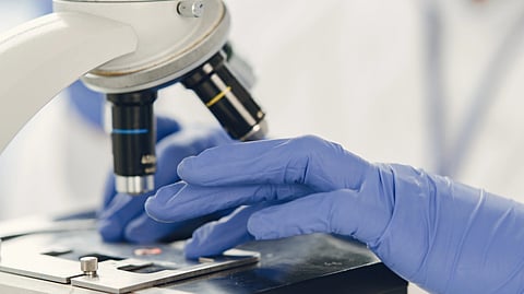 Close-up of gloved hands adjusting a microscope in a lab setting.