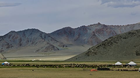 Nomadic landscape with yurts and livestock grazing in a vast field under a cloudy sky.
