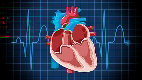 Illustration of a human heart in front of a blue grid with heartbeat lines. 