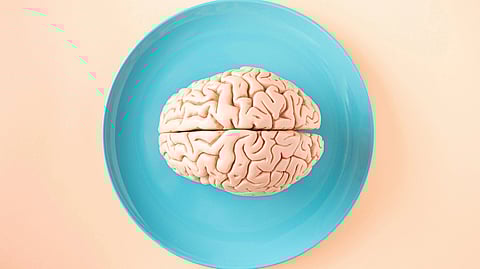 A realistic brain model sits on a bright blue plate against a pastel background.