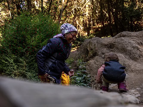 A woman assists a child as they climb on rocks in a forest, with greenery and trees in the background.