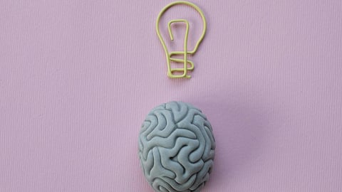 A gray brain model sits on a pastel pink background above it, a yellow wire is shaped like a lightbulb.