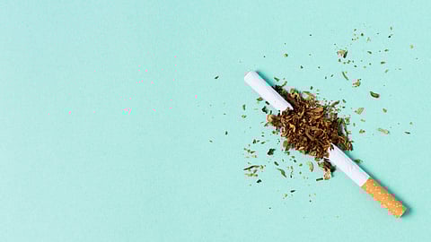 A broken cigarette with scattered tobacco rests on a light teal background. 