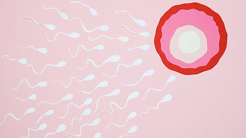 Illustration of white sperm cells swimming towards a red and pink target on a pink background.