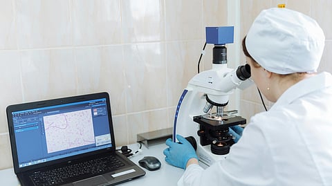 A scientist in a lab coat and gloves examines a sample under a microscope.
